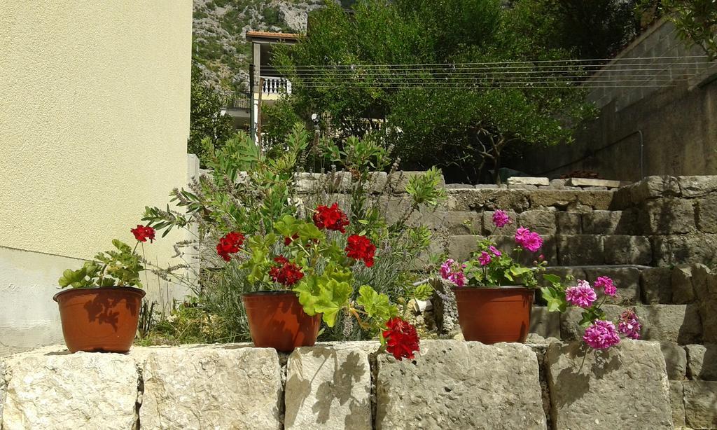 Apartment Adela Kotor Exterior photo